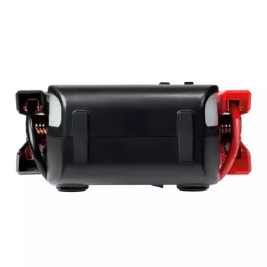 Profesjonalny rozrusznik litowy PRO 1000