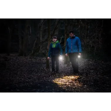 LEDinspect TORCH 350 ESSENTIAL