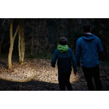 LEDinspect TORCH 450 ESSENTIAL