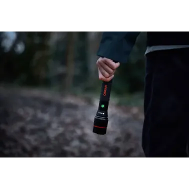 LEDinspect PRO TORCH 1200